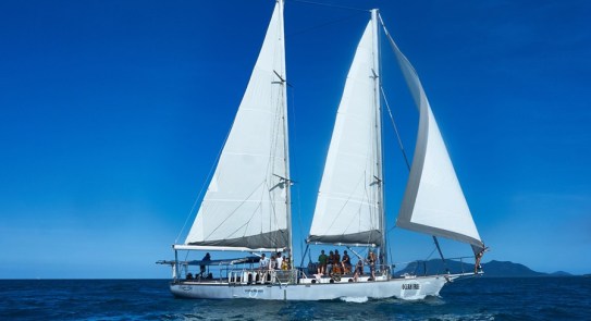 cairns-green-island-snorkel-ocean-free-e1424244436376