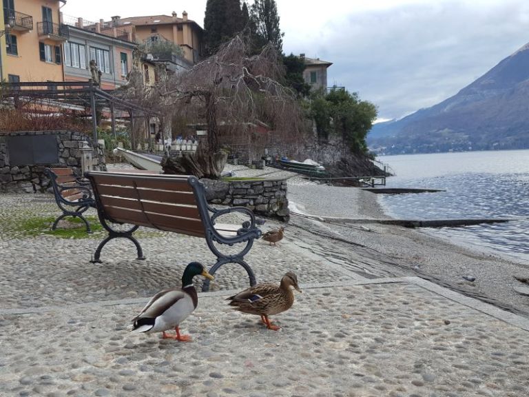 lakecomo013